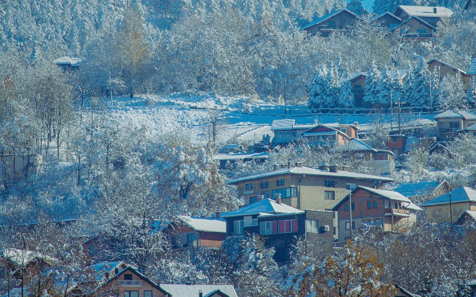 Snow-covered houses among trees on a wooded hillside